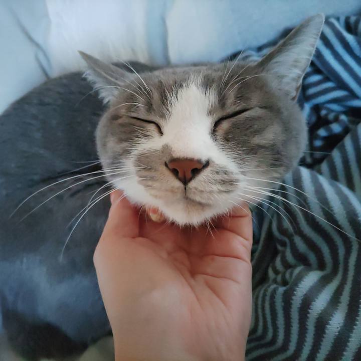 335c65d5 e883 4314 a934 0bfda62abca0 1701910777930