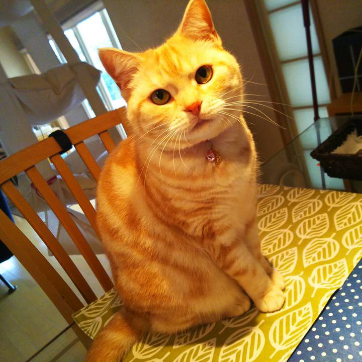 335c7190 ae43 4ec3 bb4b 80dfa7114e8f 1519264347617