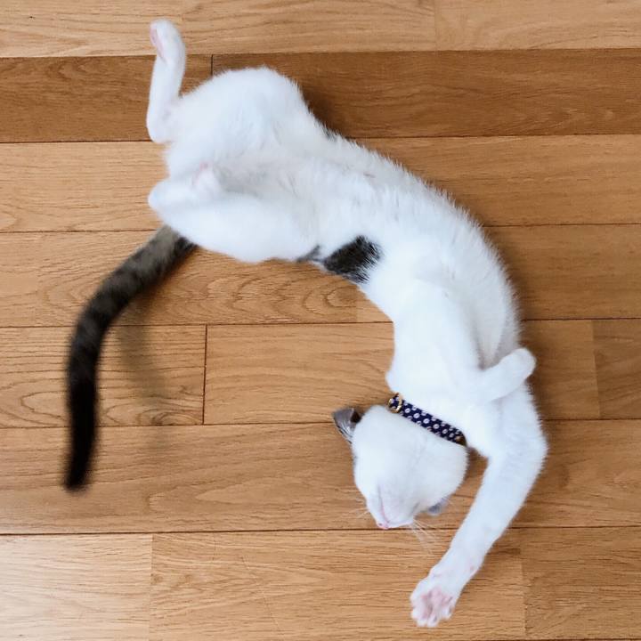 335c9935 1408 4380 9ffb 9934597cfd14 1572426781984