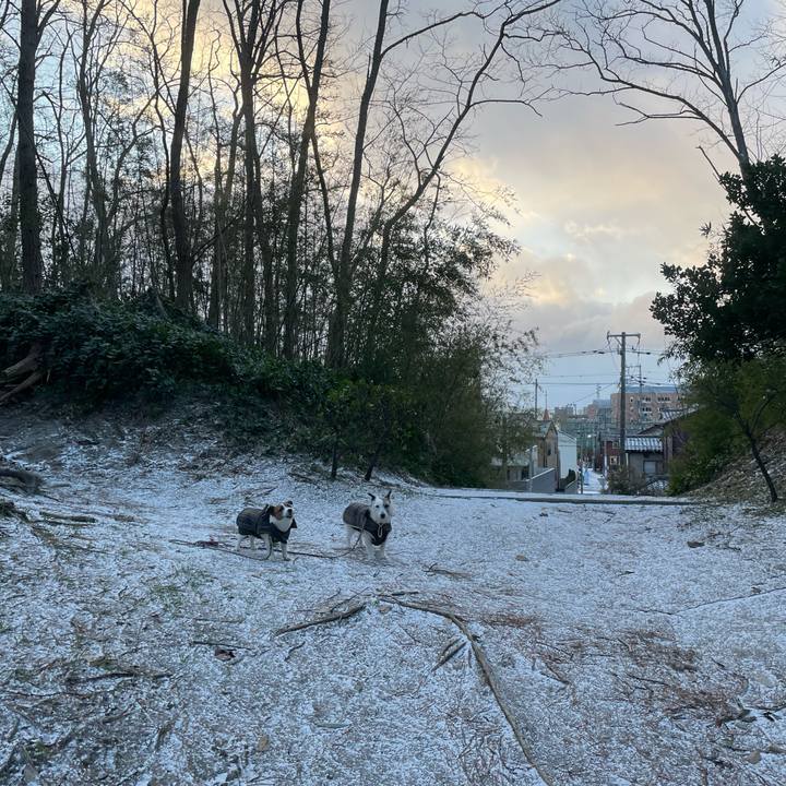 335ccaa2 381a 475b bacf 4853ddfe4651 1768950737779