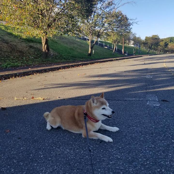 335cd774 3ea6 4a94 b91e f8d0270914cb 1728457298047