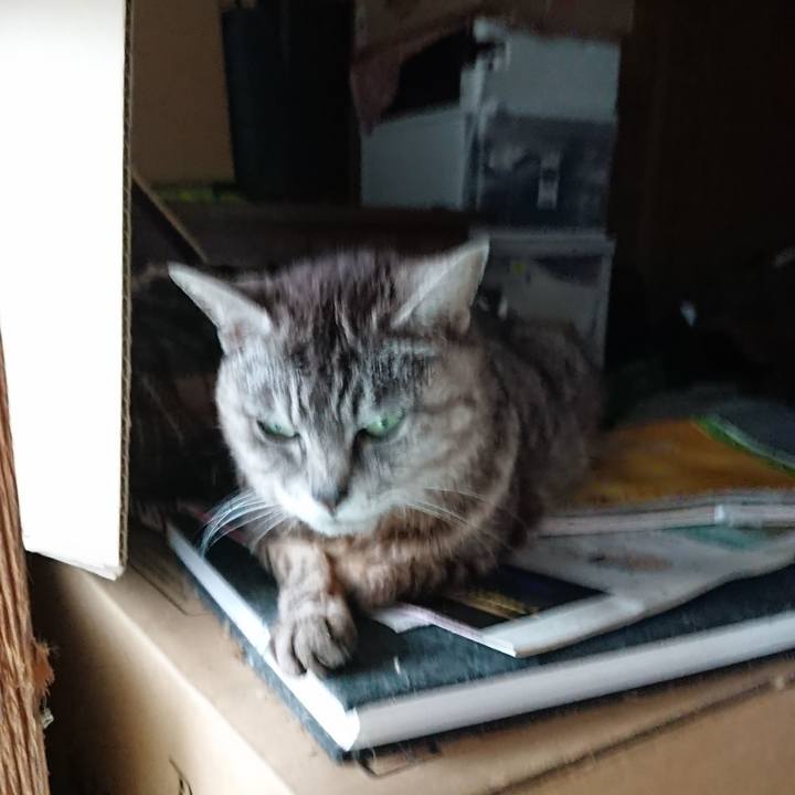 335cf770 dccb 4ee2 af35 e430a5d42b71 1563433747207