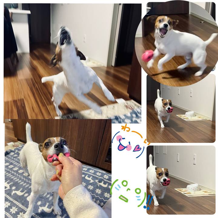 335d1c1d f0e9 4076 96ab 34b7fcf6442f 1739872937069