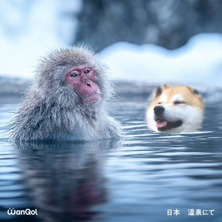 335d59b6 f781 46f6 90d7 083990b4289d 1615702097976