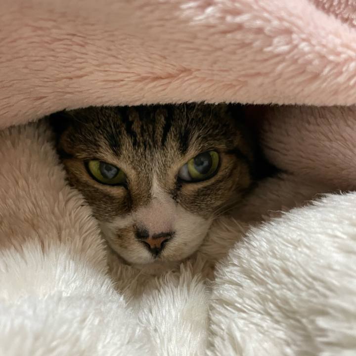 335d909c d189 498f 9f26 934ede326ed1 1638235725885