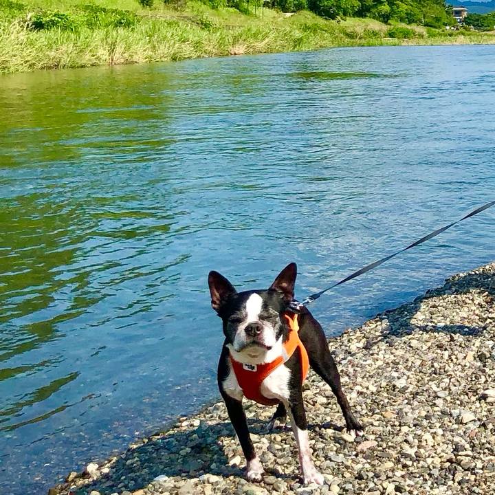 335da5bf ecf8 4240 9158 1fbc104308e2 1721126654565