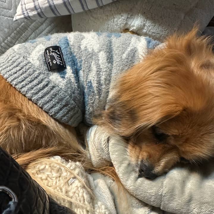 335db55e a72d 430a 93f7 4a62cb1fd81c 1736287469039