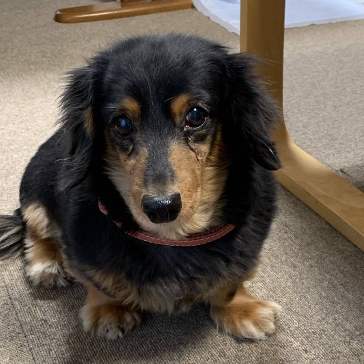 335db5f7 bea5 4483 9590 6a56fd71663d 1576706208649