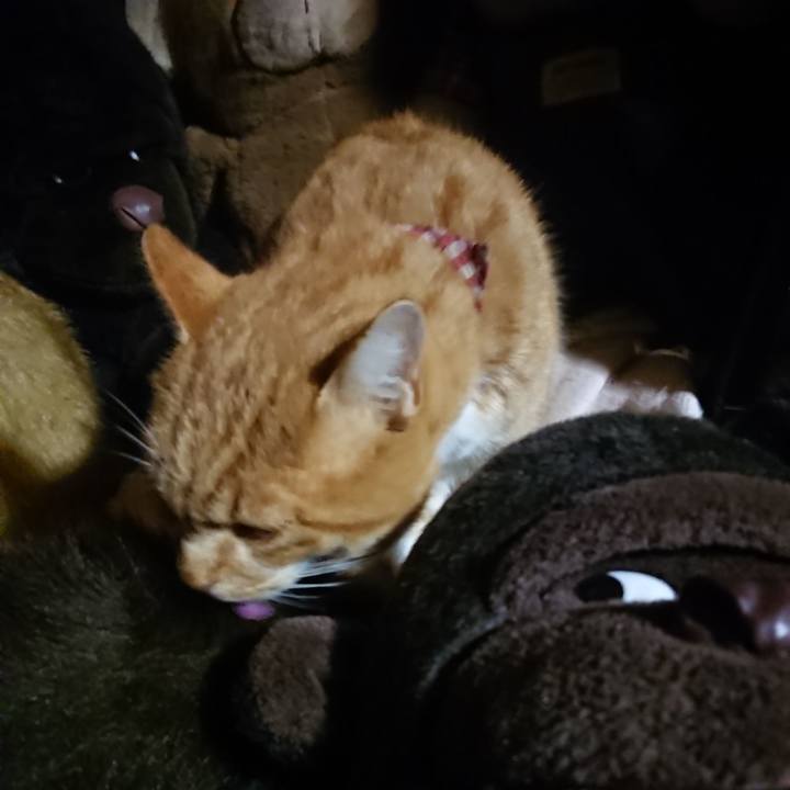 335dcbef 7fab 4688 a020 332da25b186a 1607772561237