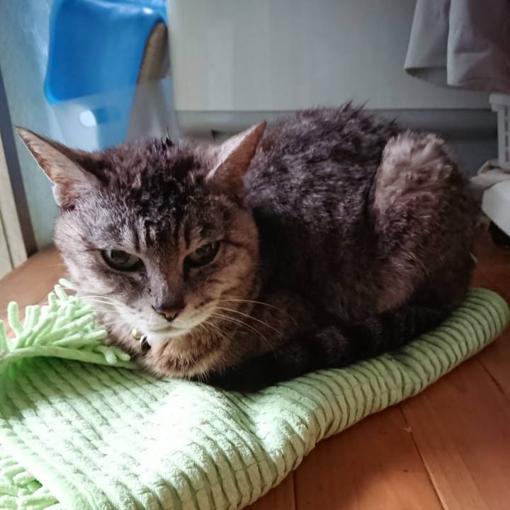 335dcddc 5a4d 4b71 8ce2 b641a9989801 1562185450044