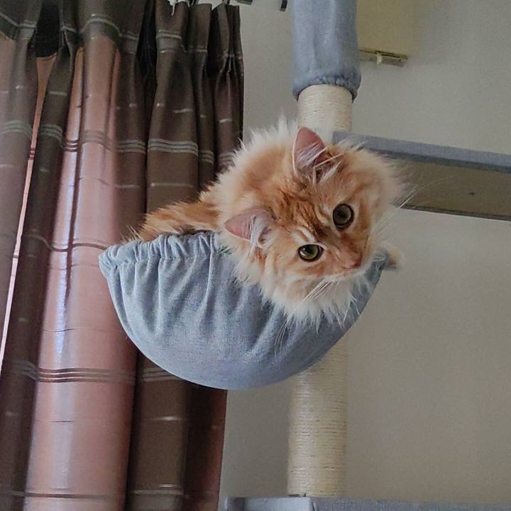 335de036 66c2 468c af3f 3e5559c1fc96 1653783814603