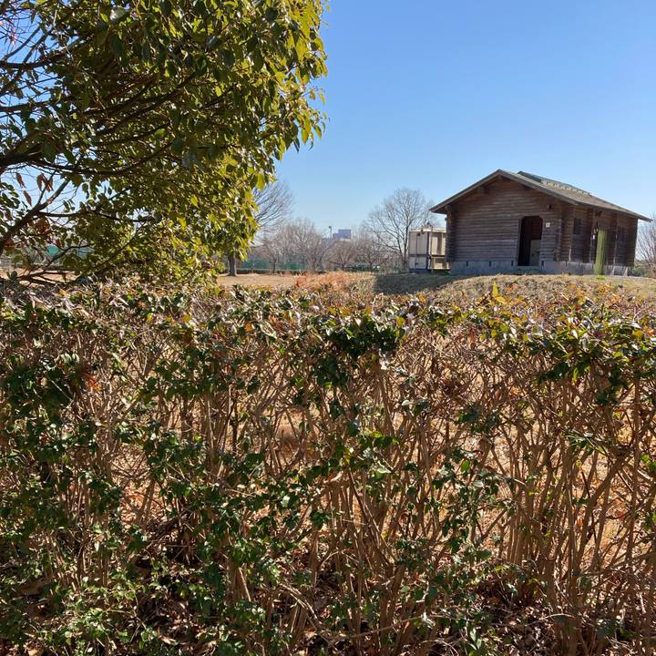 335e5449 69e7 4907 90f8 9cb2bafa264d 1707798916217