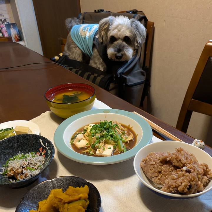 335e5d75 63dd 40cc babd 10585bf59490 1760793401692