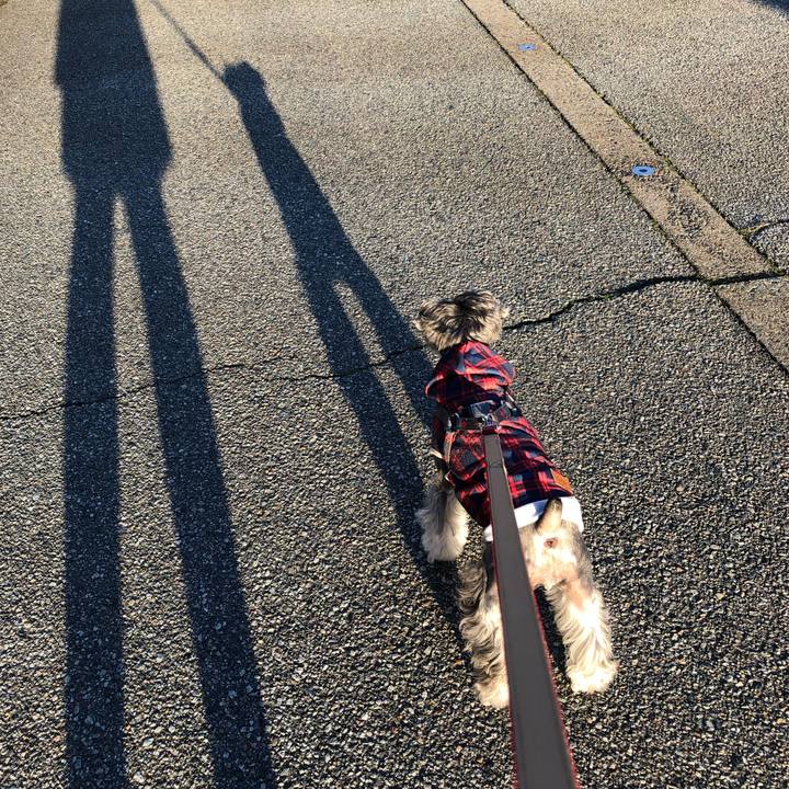 335e9dc7 1f8b 40b9 8ea8 752356a56993 1667032423341