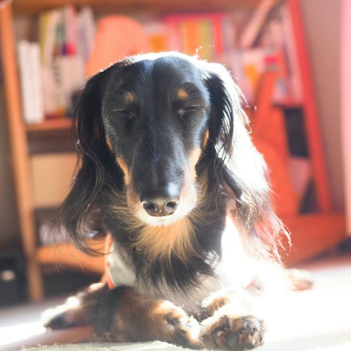 335ece14 bf54 4e4c a073 aac587a92a67 1579064762699