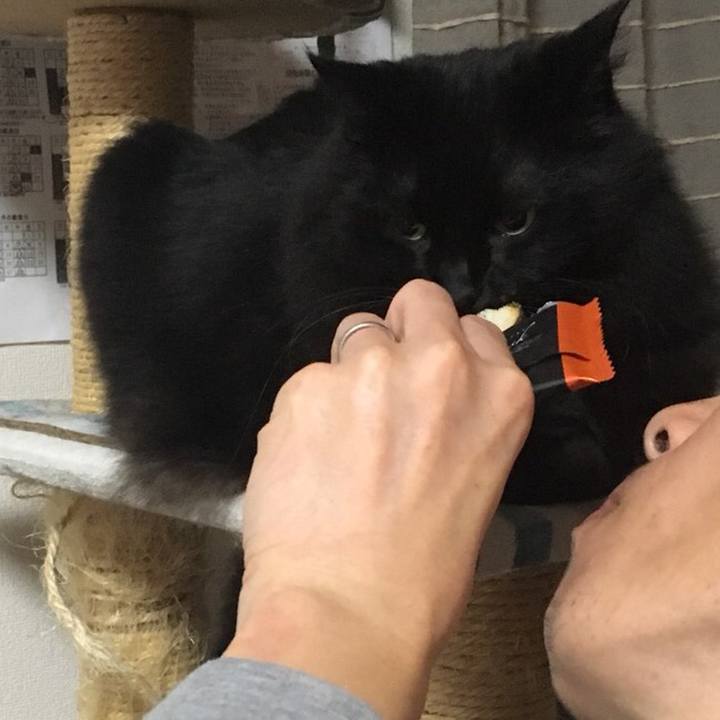 335ef59a 15ae 4f7b 818f ba5ec8ea36d3 1540559733800