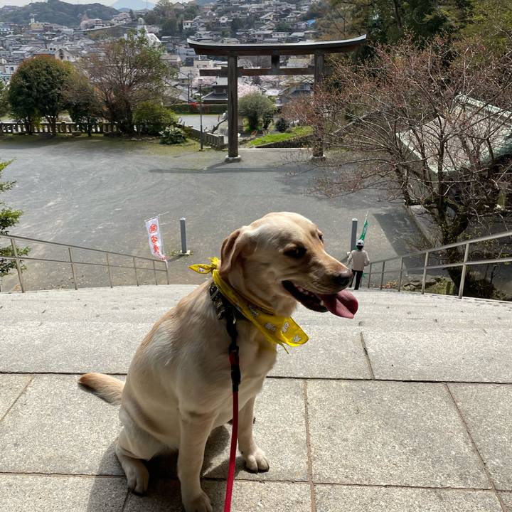 335f0198 a717 409e 9eb5 b196b260eede 1648617590423