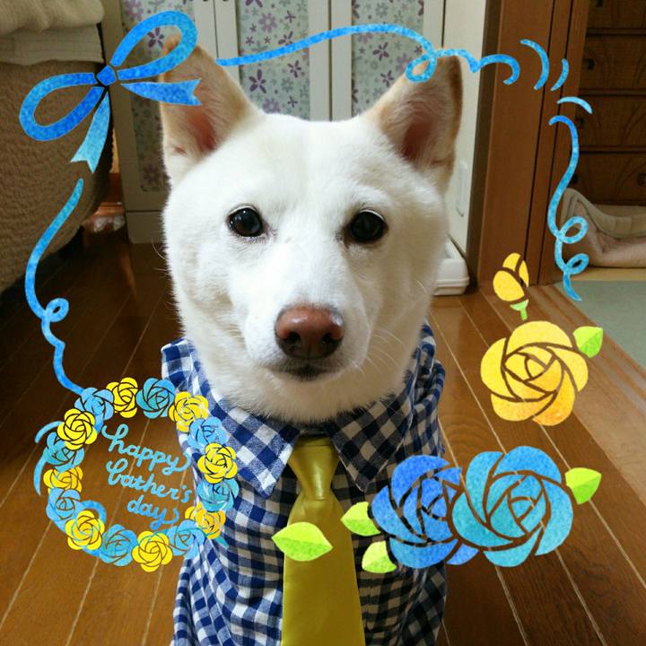 335f16d7 6b61 46ef b5bb a47213a61012 1560654421841