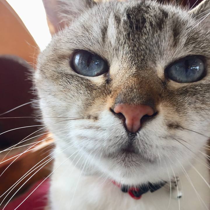 335f53f2 359d 433b a09b 732159fc6ba2 1560661194853