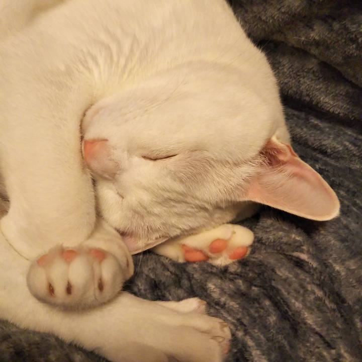 335f7566 df0f 470b bc40 27b43c211f24 1548934759033