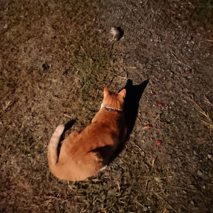 335f9c1d 9e58 4c59 8069 4b58b21f5ea6 1569931248086