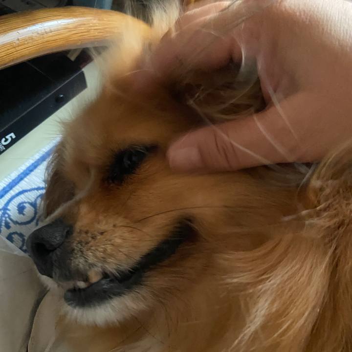 335fb23a 7ecd 40ab a241 7fa2bcc33f26 1627508949759