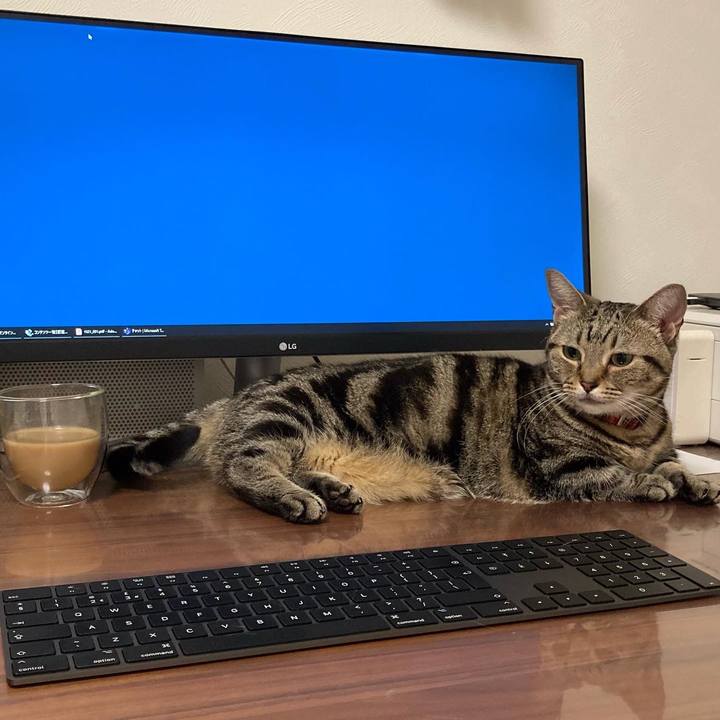 335fcae4 c43e 4159 ae6a 4c3b3e717683 1629355801037