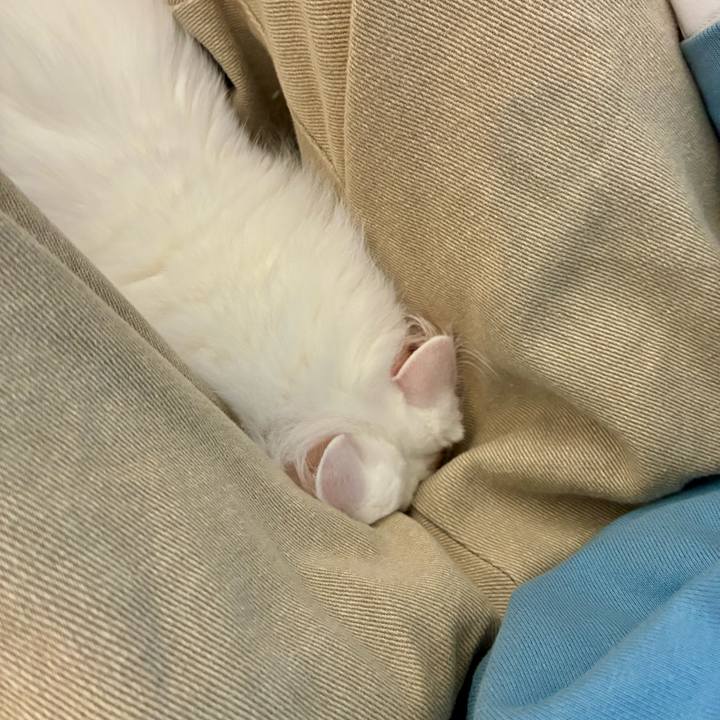 335fcd51 4058 43b3 9802 e255d9f313c0 1767063171448