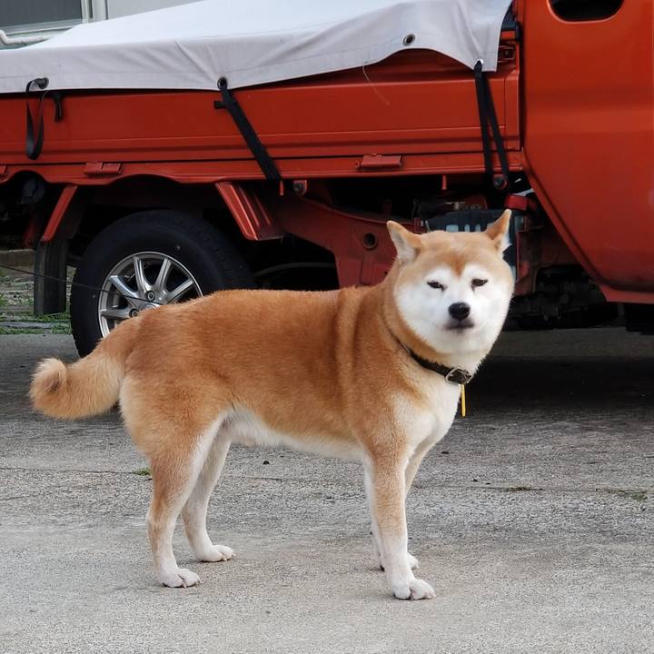 336007f4 bce9 42c3 9f65 9f82dcfac7e4 1599553925455