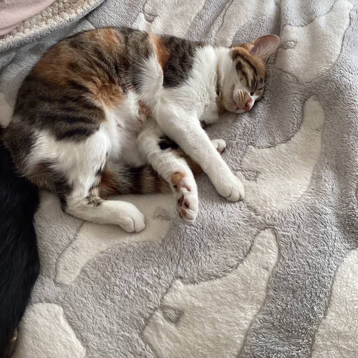 336022e4 3f13 49e5 b216 6f1e3143bcfe 1647420253038