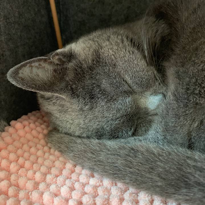 33603dc5 be97 4fdd a245 1c88194c3e83 1554157634374