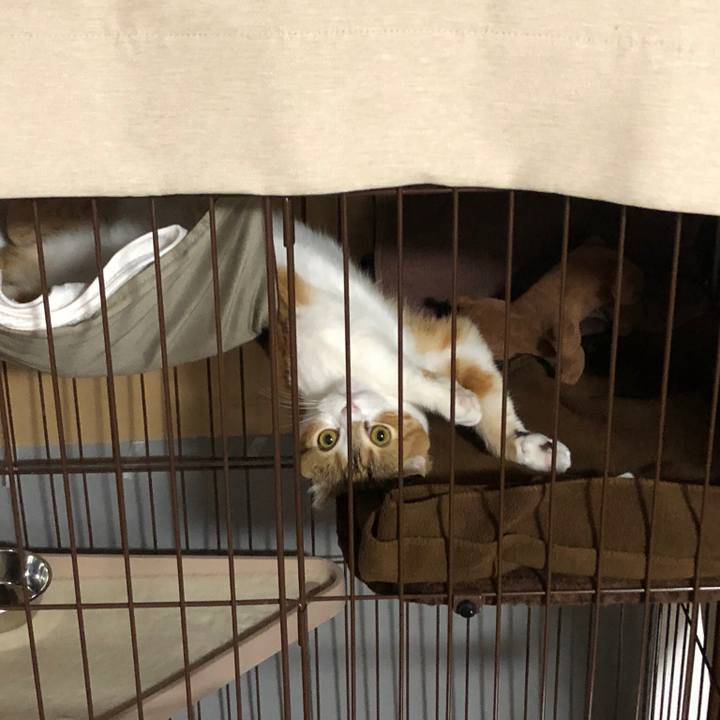 33609dc1 d1c0 4c35 bee3 0ae6fd04552d 1522060849568