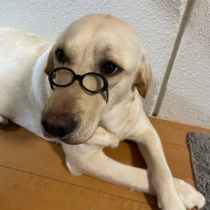 3360a96d b1c5 412c bd6f d9a6e73236de 1648389319870