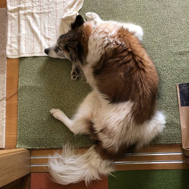 3360da5f 242f 4d28 b13e d7601a767754 1518062442319