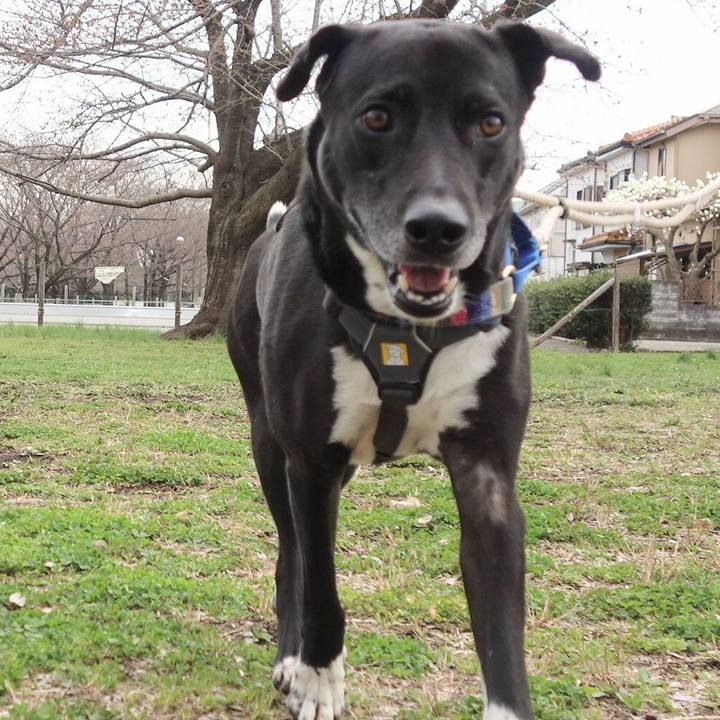 3360db91 3eb4 4f42 ba52 11a462e3b5dd 1647825173749