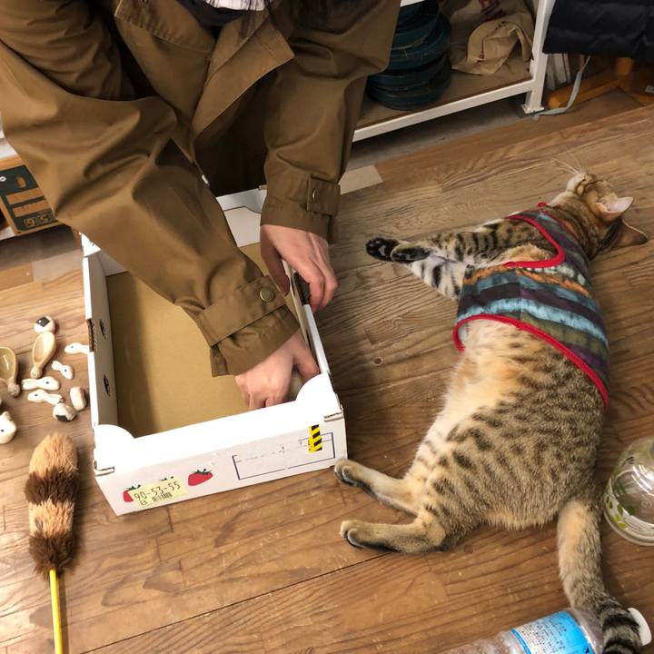 3360de84 e70f 42a4 abe6 8c8bde6c9b79 1586514621928