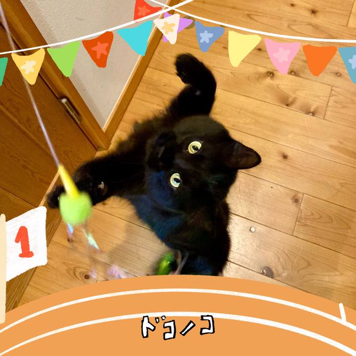 3360deb5 9daa 4e10 bae9 46a41aa80a82 1761289377556