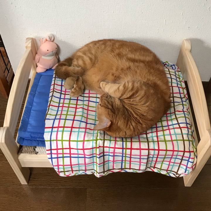 3360fd5f fe6f 4eb1 bca9 95fc9baf7459 1557915758777