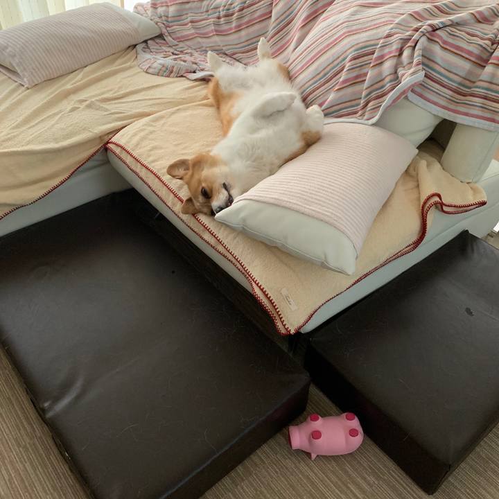 33610113 0f0d 49a2 91d2 ea1bb198f346 1559802627176