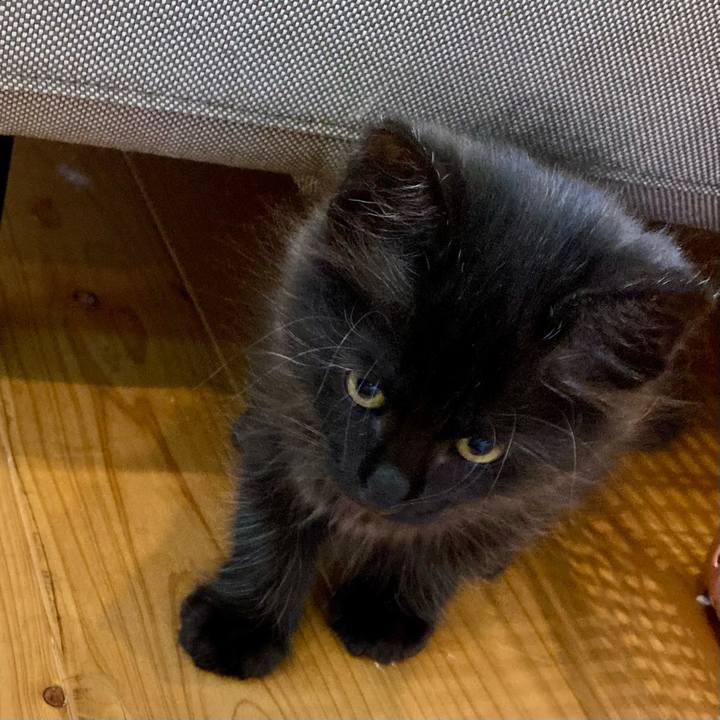 336125a5 95a8 4422 8591 908f461f690e 1700190853847