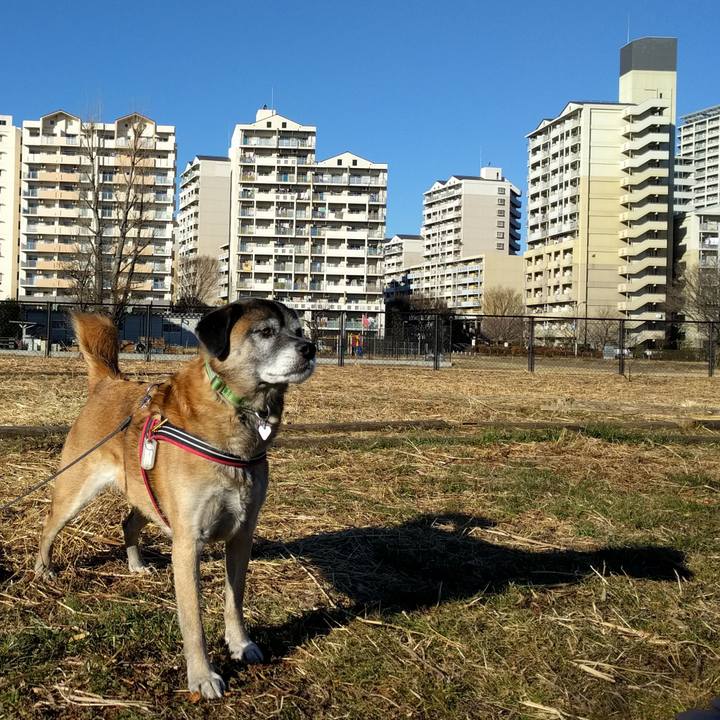 33613054 7e94 4908 8313 59bdc995ac4e 1515025437382