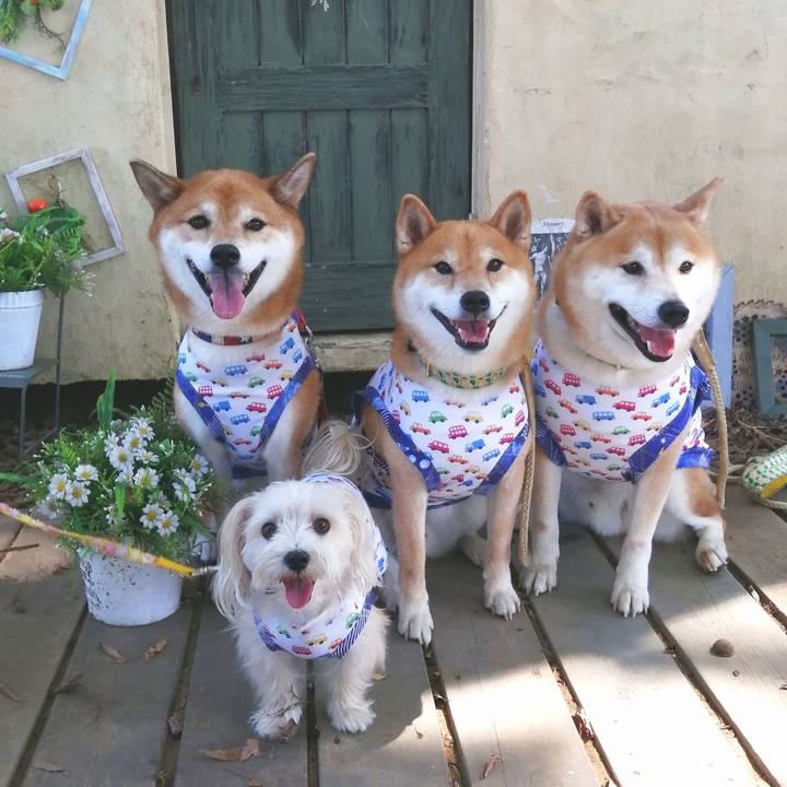 33613c48 799f 4d93 8f83 2d08197948b6 1695171122536