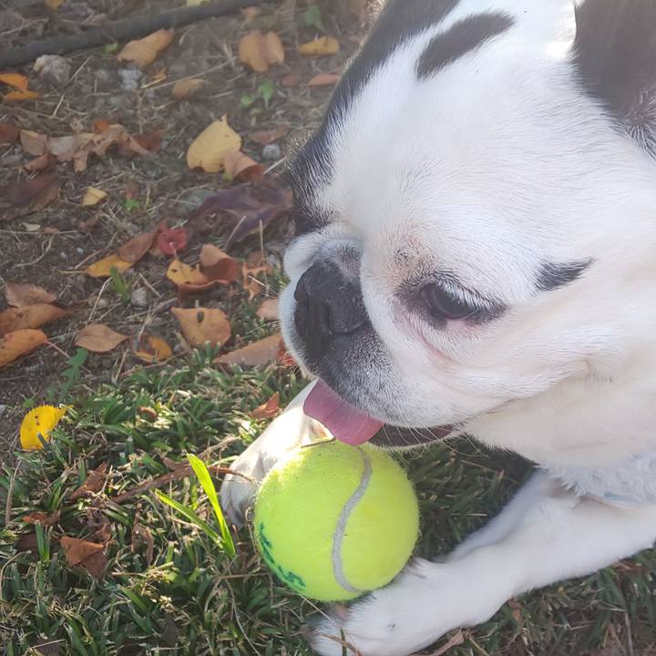 336143a3 c858 4bd2 b95a 43c8e29f654f 1668500258777