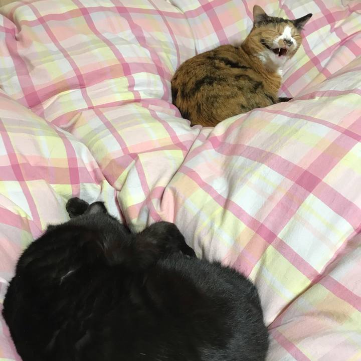 336147a6 2d00 4b59 9ba0 e96e8630cc54 1548763052406