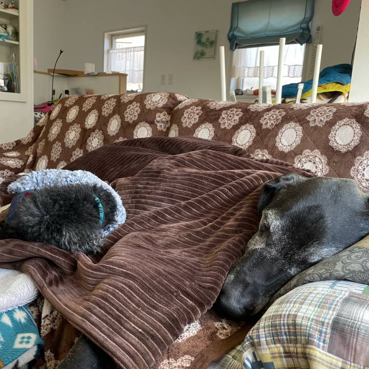 33614d13 8b61 4063 9aab b6b194b0a0c9 1644554884266