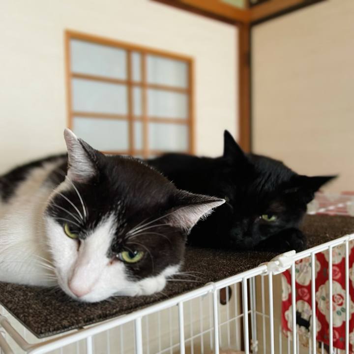 3361655f 6143 4c70 ac68 fbb235acf710 1631156102027