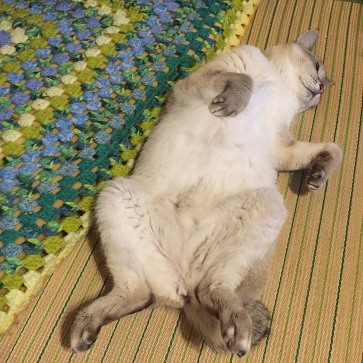 3361b162 a136 4c60 be05 647038f7eb7c 1559441306369