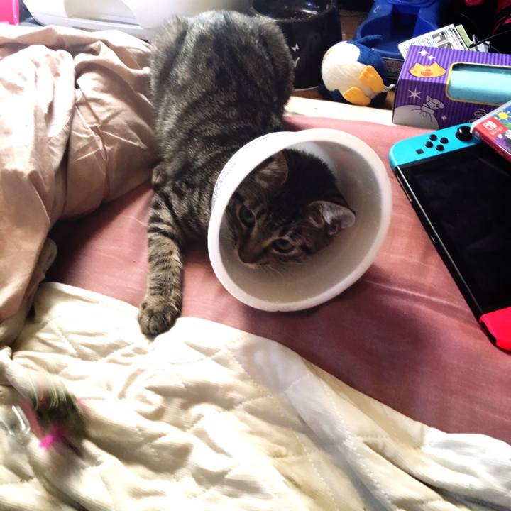 3361b3ef 5f9c 4767 8f1e 6ce5876c58c8 1538550502233