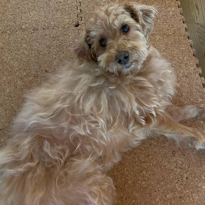 336209c1 2705 4c52 8248 f41a39f79507 1630448788567