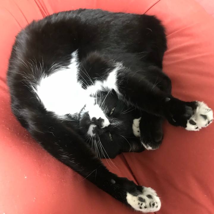 33621125 9f91 438e 9902 7d43831b97df 1643254806720